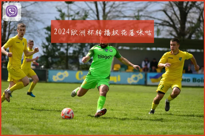 2024欧洲杯转播权花落咪咕