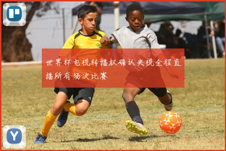 世界杯电视转播权确认央视全程直播所有场次比赛